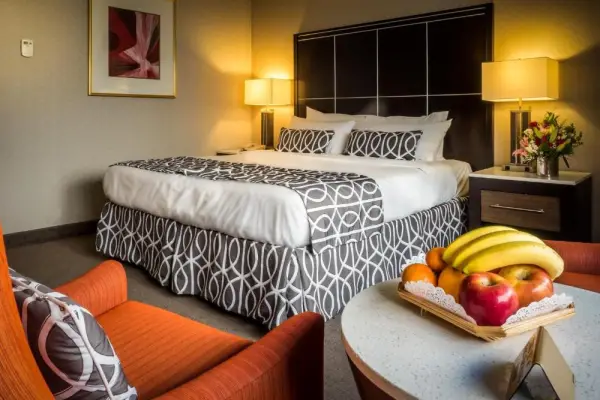 Olyver Hotel 9